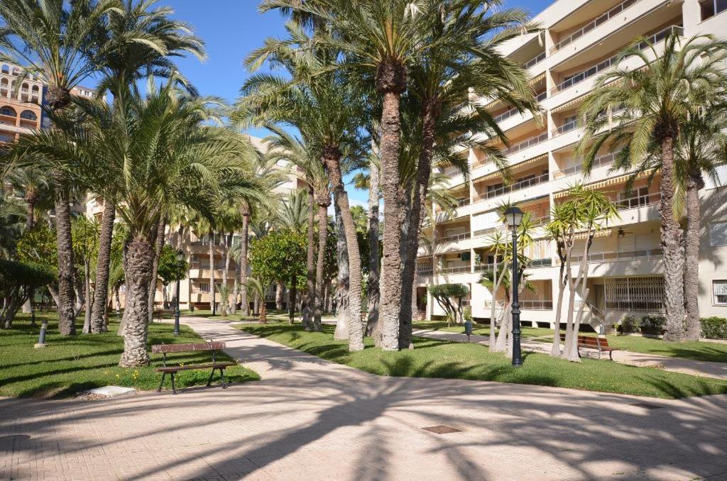 Sweet Home El Palmeral Los Locos Beach Torrevieja Exterior foto