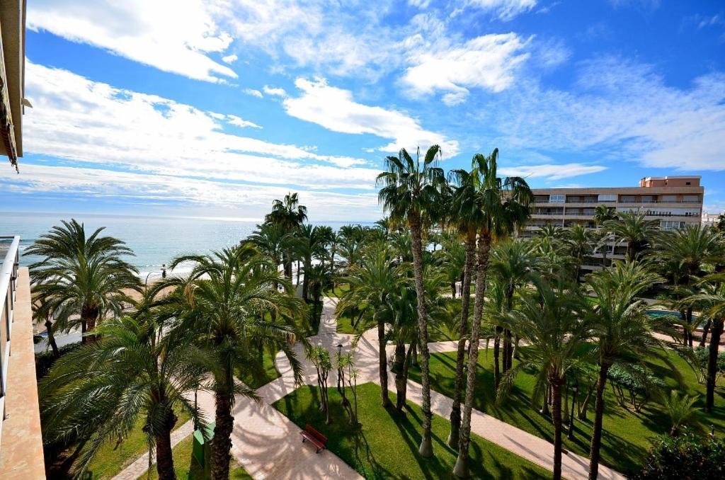Sweet Home El Palmeral Los Locos Beach Torrevieja Exterior foto